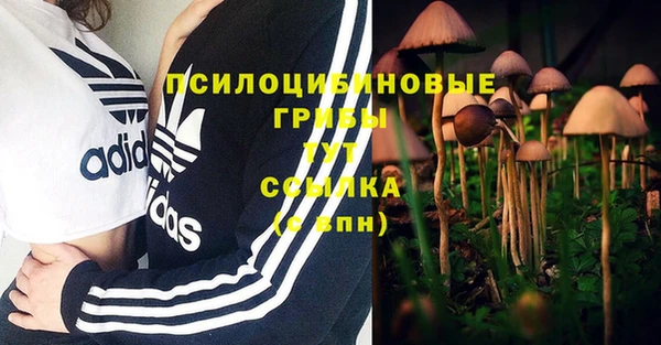 кристаллы Алзамай