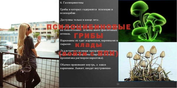 экстази Абаза