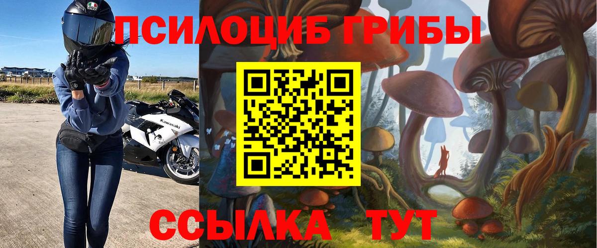 Орск  Галлюциногенные грибы Psilocybe  Галлюциногенные грибы прущие грибы  Вход с VPN 